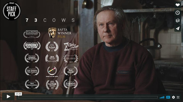 73_cows-pict