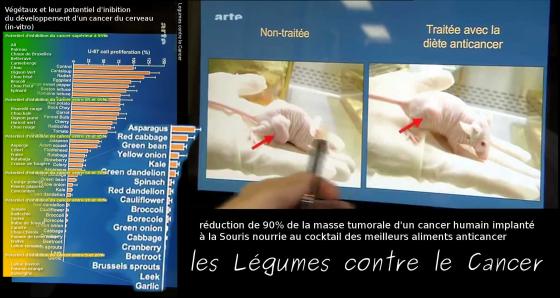 aliments végétaux avec un potentiel d’inhibition du cancer supérieur à 95% : Ail, Poireau, Choux de Bruxelles, Betterave, Canneberge, Chou, Oignon Vert, Chou frisé, Brocoli, Chou, Fleur, Épinard