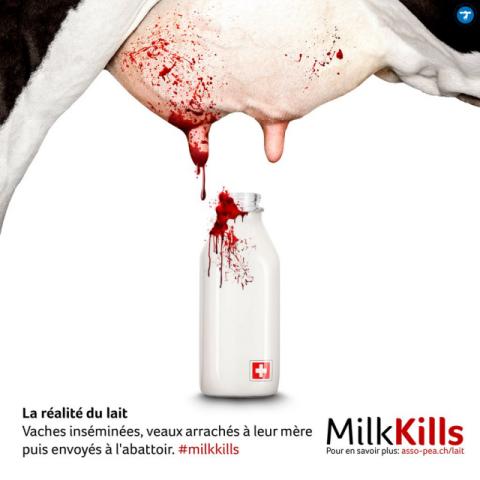 MilkKills